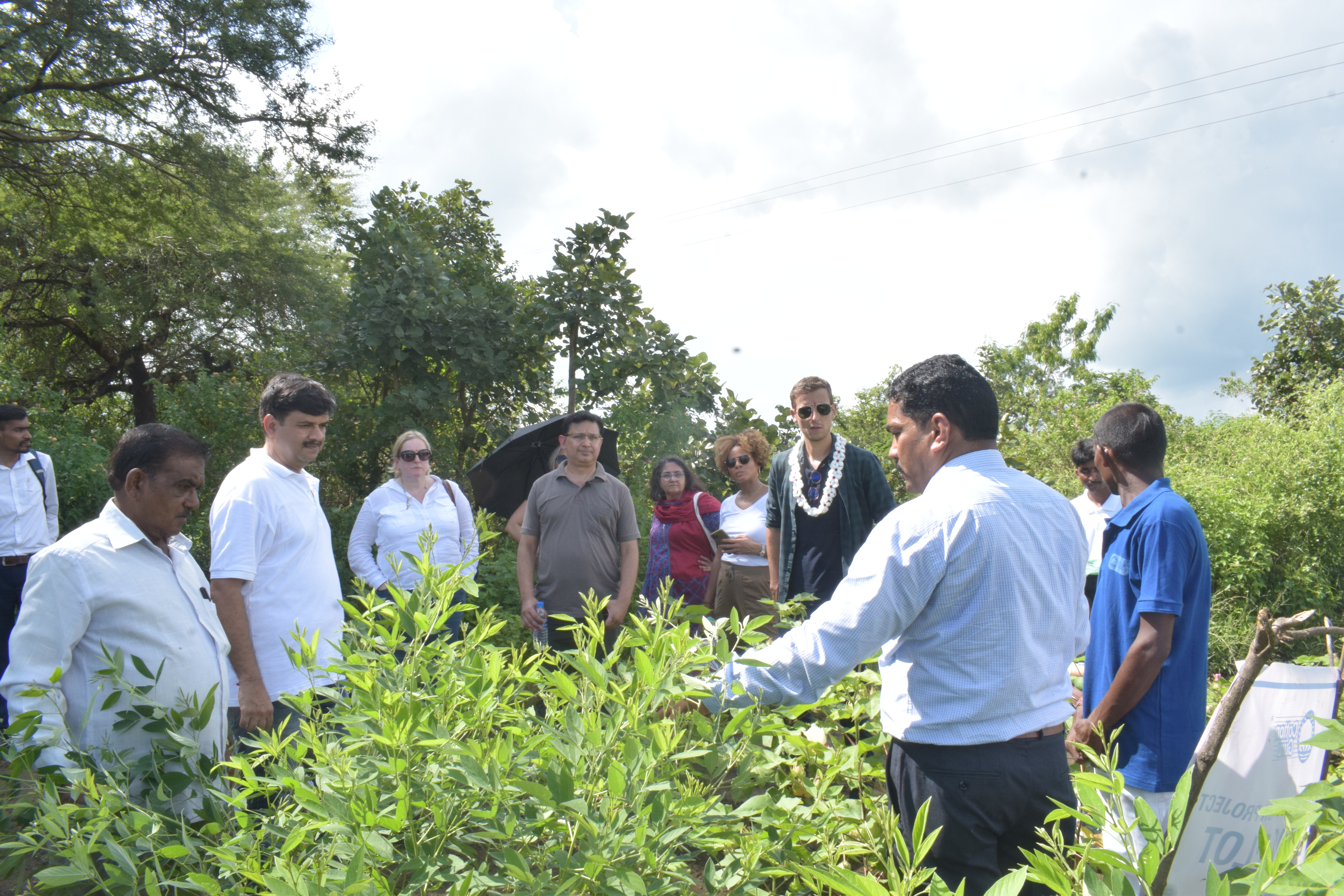 Field visit