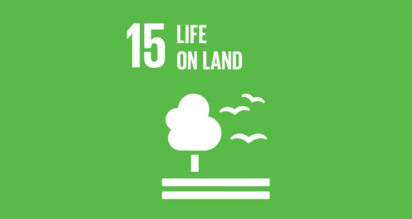SDG 15 — Life on Land