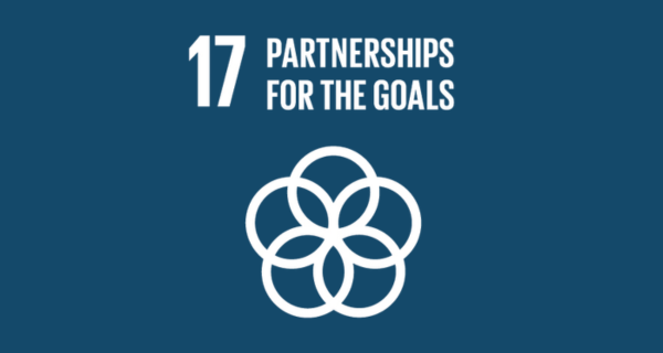 SDG 17 — Partnerships for the Goals