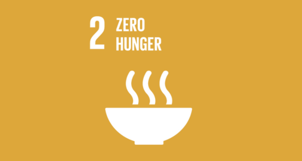 SDG 2 — Zero Hunger