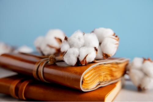 Market Linkages for Certified Sustainable Cotton